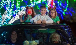 Cruise the ZooLights at Phoenix Zoo adds additional late night spots