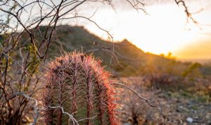 Phoenix follows up hottest summer ever with hottest autumn