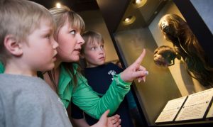 Ripley’s Believe it or Not to open at Arizona Boardwalk in Scottsdale