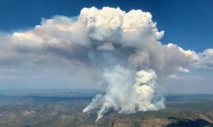 Wildfire season in Arizona burned almost 1 million acres in 2020