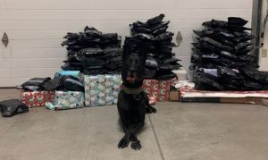 Arizona K9 sniffs out marijuana disguised as Christmas presents