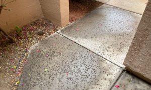 Phoenix sees first measurable rain of 2021 on Tuesday morning
