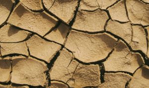 Drought expected to continue in Arizona through April