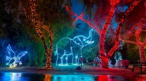 Phoenix ZooLights returns to Valley in November with drive-thru concept