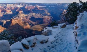 Grand Canyon park rangers find body of missing woman at South Rim