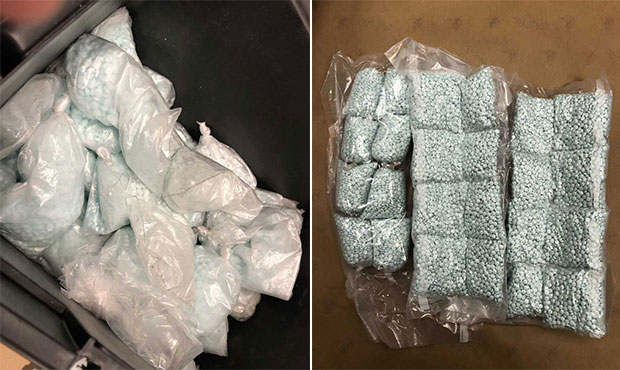 (Courtesy photos/Gila County Sheriff's Office)...