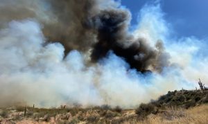 Forward progress stopped on Pumpkin Fire northeast of Phoenix