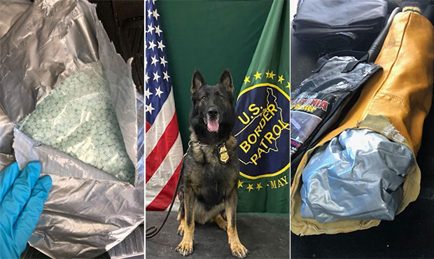 (Courtesy photos/U.S. Customs and Border Protection)...