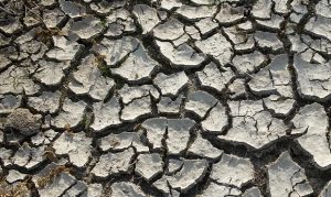 Arizona sitting in rare territory for extreme drought conditions