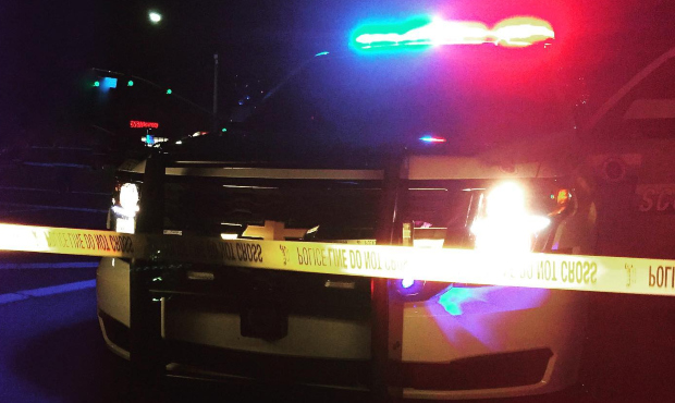 (Facebook Photo/Scottsdale Police Department)...