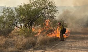 Fire restrictions to be put in place in some Arizona locations