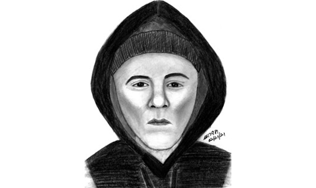 (Mesa Police Department Photo)...