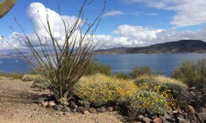 Park ranger expecting fire risk, crowds at Lake Pleasant for Memorial Day