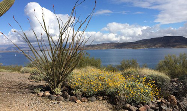 (Photo via Lake Pleasant Regional Park) Related Wreck blocks I-17 north of Phoenix, tying up holida...