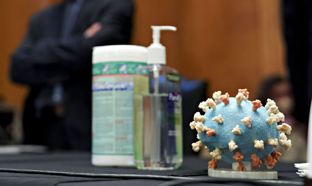 A model of Covid-19, right, sits on a witness table before a Senate Appropriations Subcommittee hea...