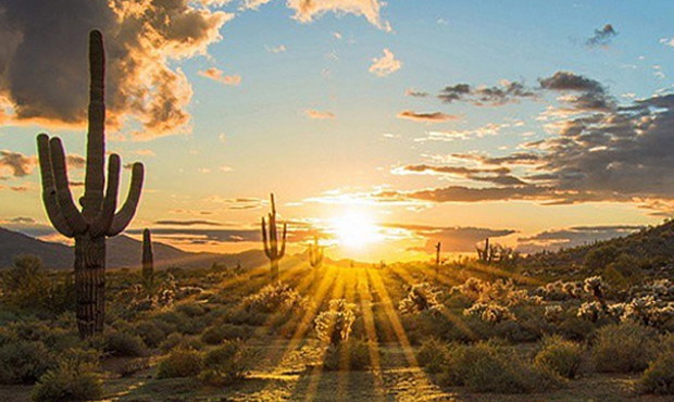 Related President Joe Biden has Arizona approval rating of 55%, per new pollSmile, Arizona: State s...