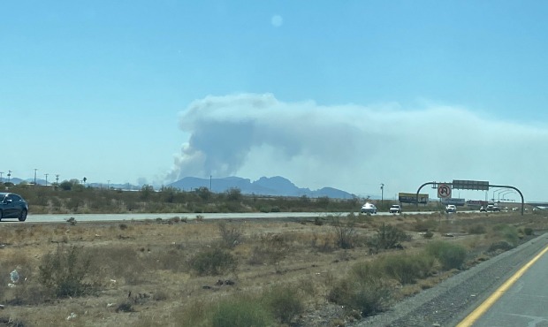 (Twitter photo/@azstateforestry)...