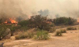 Evacuations lifted in Cochise County for Walnut Fire