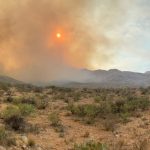 Pinnacle Fire