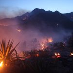 Pinnacle Fire