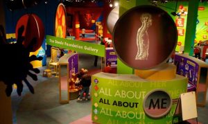 Arizona Science Center expands STEM learning for children's program