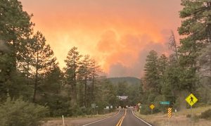 Coconino, Kaibab forests to close indefinitely while fire risk is high