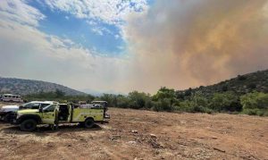 Mescal Fire burning east of Phoenix passes 50,000 acres