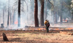 Here's the latest on Arizona's most disruptive active wildfires