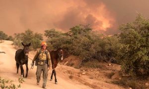 Some evacuation orders lifted for destructive Telegraph Fire
