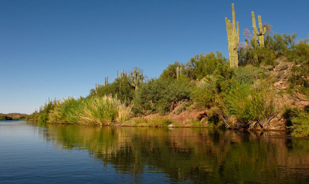 salt river...