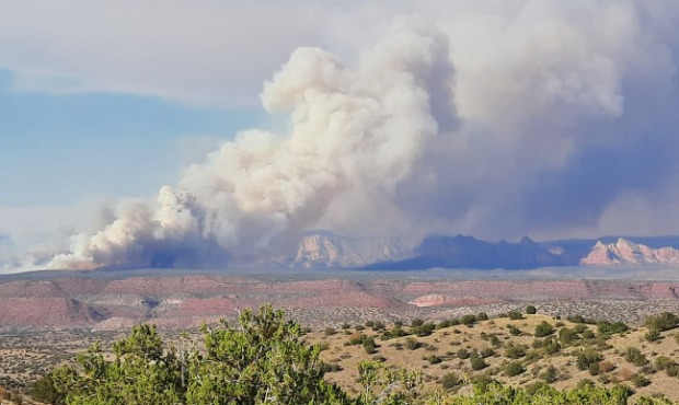 (Facebook Photo/Prescott National Forest)...