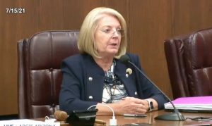 Arizona Sen. Karen Fann at audit hearing: 'This is not about Trump'