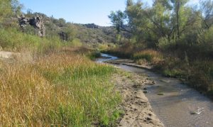 Closures on Arizona state land lifting Friday with fire restrictions for some