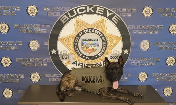 (Buckeye Police Photo)...
