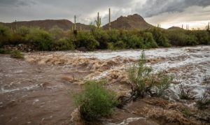 Preparing for and riding out Arizona flash floods