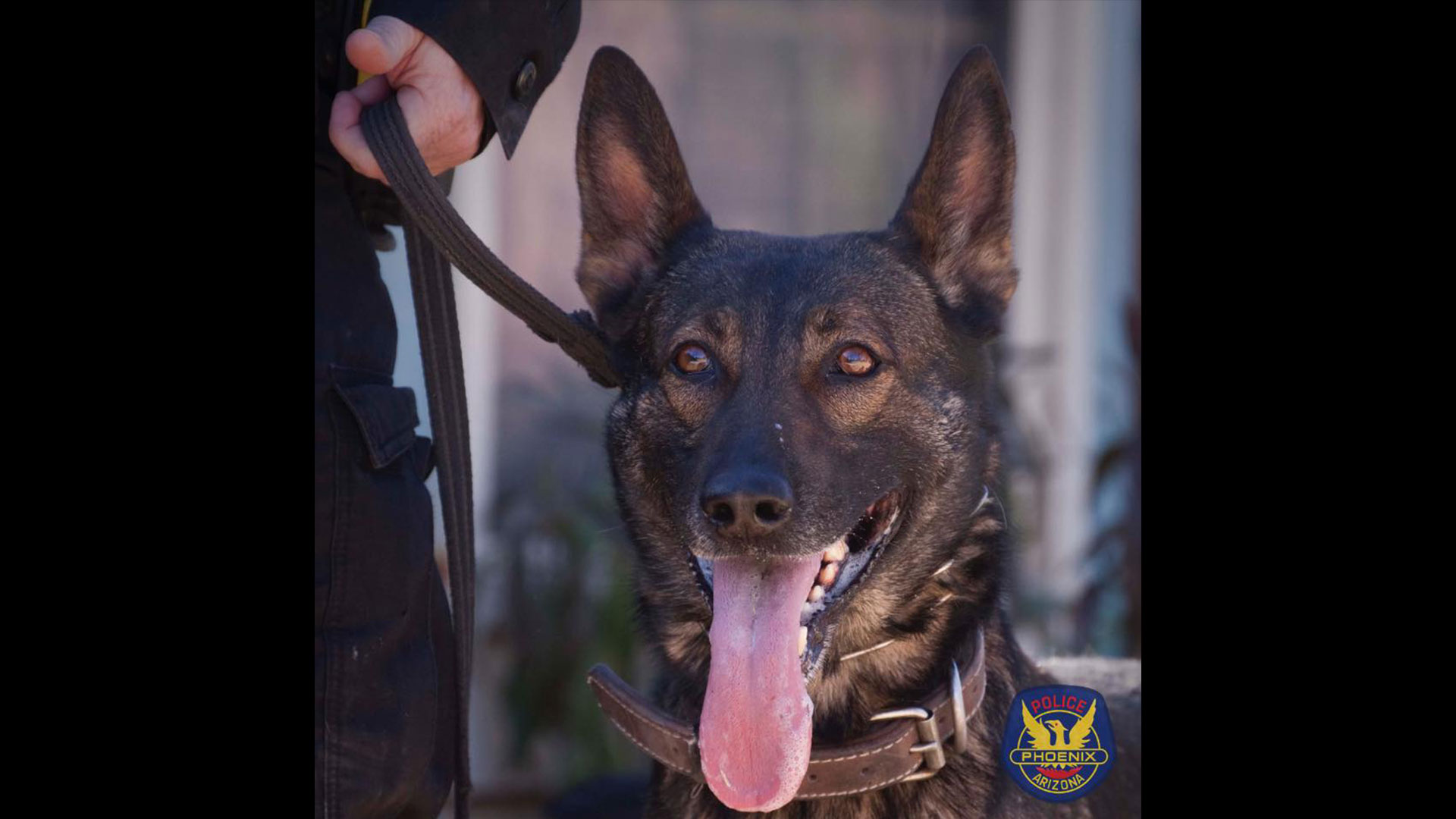 (Facebook photo/Phoenix Police Department)...