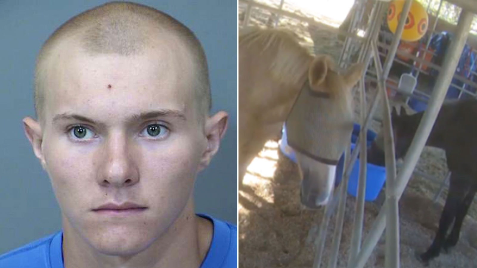 Twenty-year-old Lawrence Weinhart, pictured, and a 16-year-old were arrested on Sept. 9, 2021, for ...