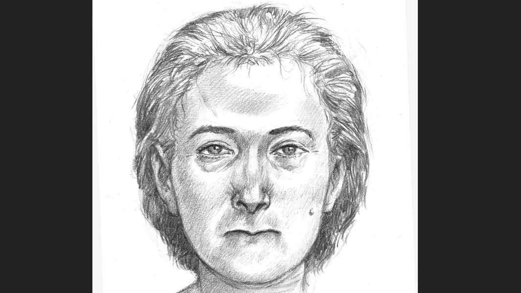 Laura Jean Jordan (Phoenix Police Sketch)...