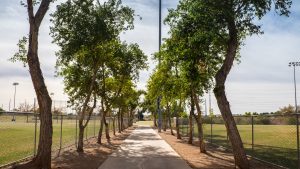 4 Arizona Valley cities ranked as least greenest cities in the US, per WalletHub