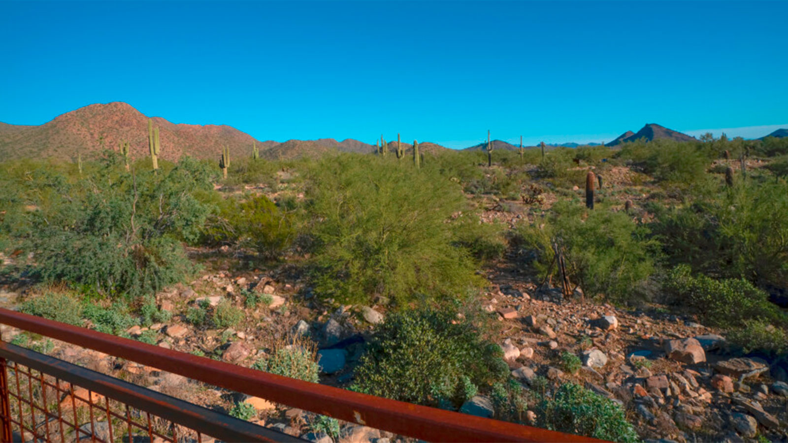Lost Dog Wash trailhead (McDowell Sonoran Conservancy Photo)...