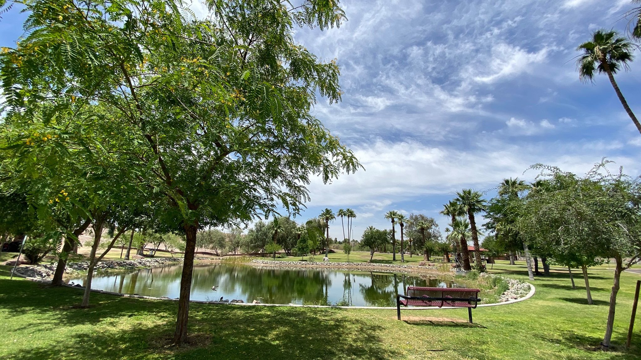 (Facebook photo/City of Tempe Government)...