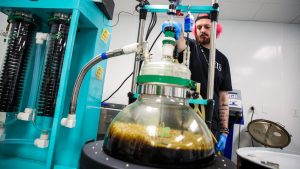 Arizona health officials issue voluntary recall for some marijuana products