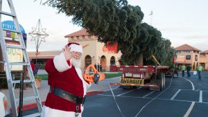 Largest fresh-cut Christmas tree in Arizona arrives at Anthem Outlets