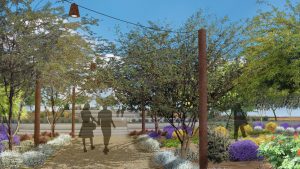 Surprise begins prep work on community xeriscape garden at City Hall