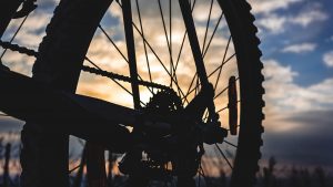 Teen driver accused of leaving scene after fatal car-bicycle collision in Phoenix