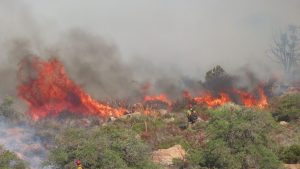 Forest Service allots $2.3M to replace infrastructure destroyed by Telegraph Fire
