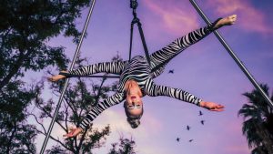 Acrobats imagine animals' lives after dark for new Phoenix Zoo fundraiser