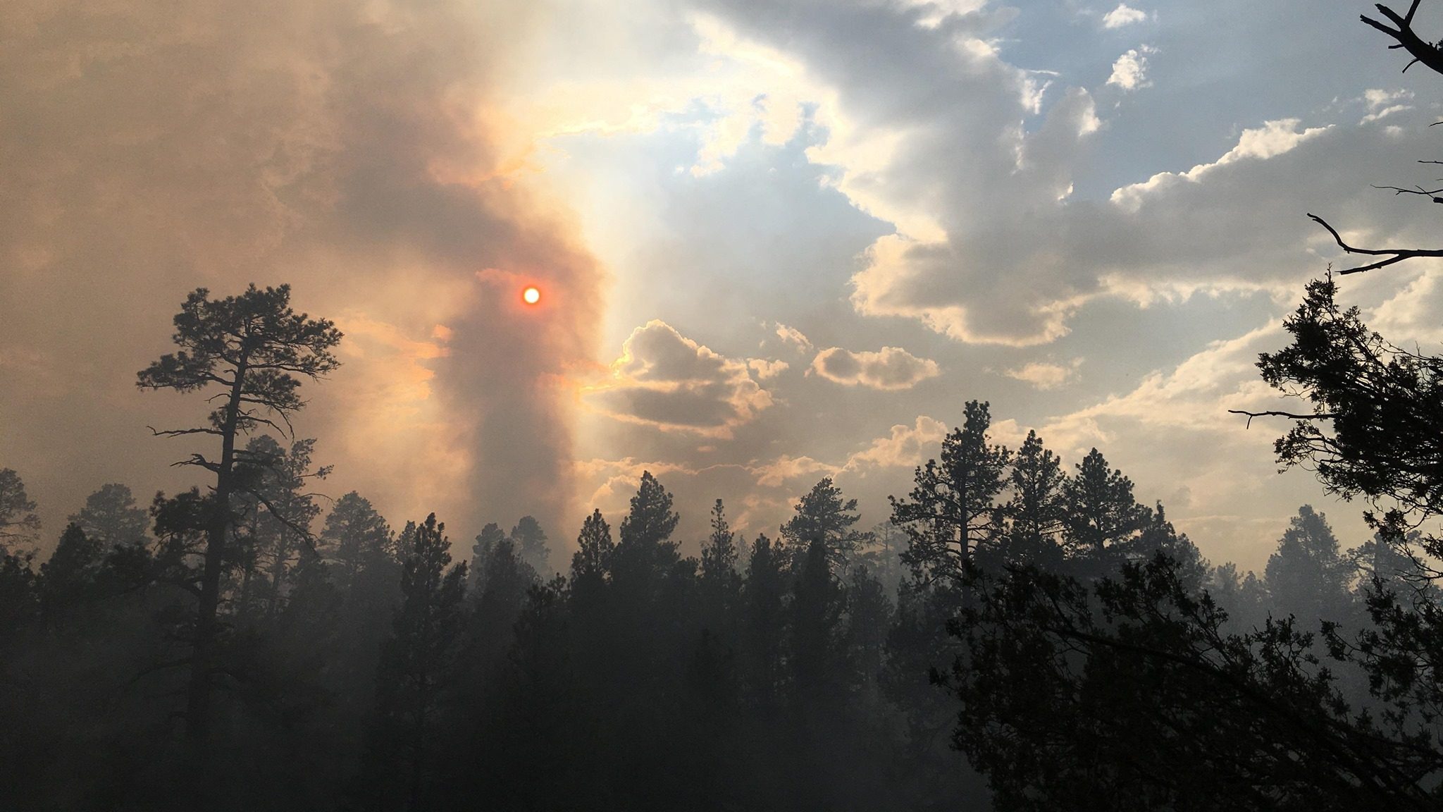 (Facebook photo/U.S. Forest Service - Kaibab National Forest)...