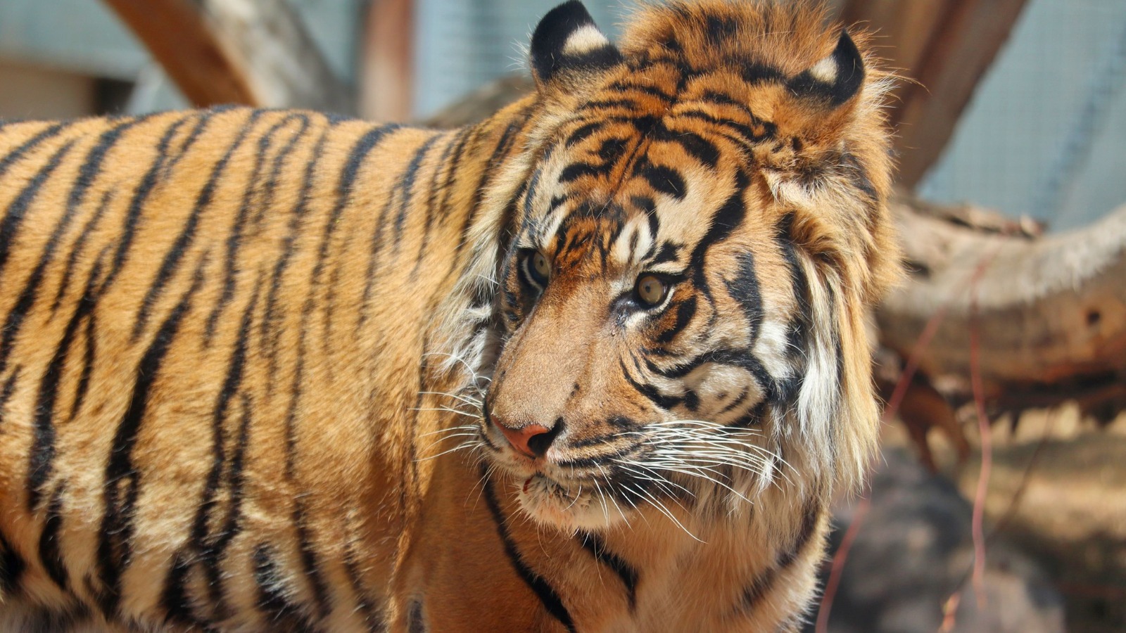 (Phoenix Zoo Photo)...
