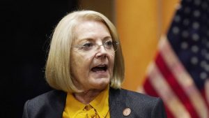Arizona Senate President Fann reiterates audit goal was to improve election processes